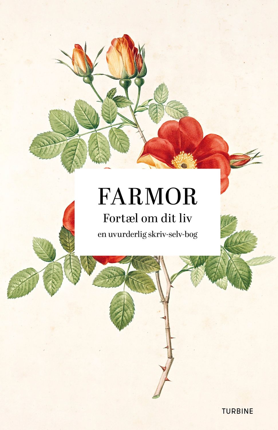 Farmor: Fortæl om dit liv