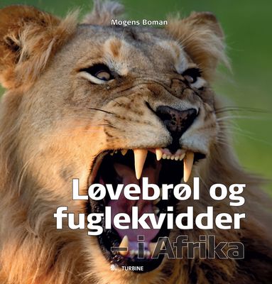 Løvebrøl og fuglekvidder - i Afrika