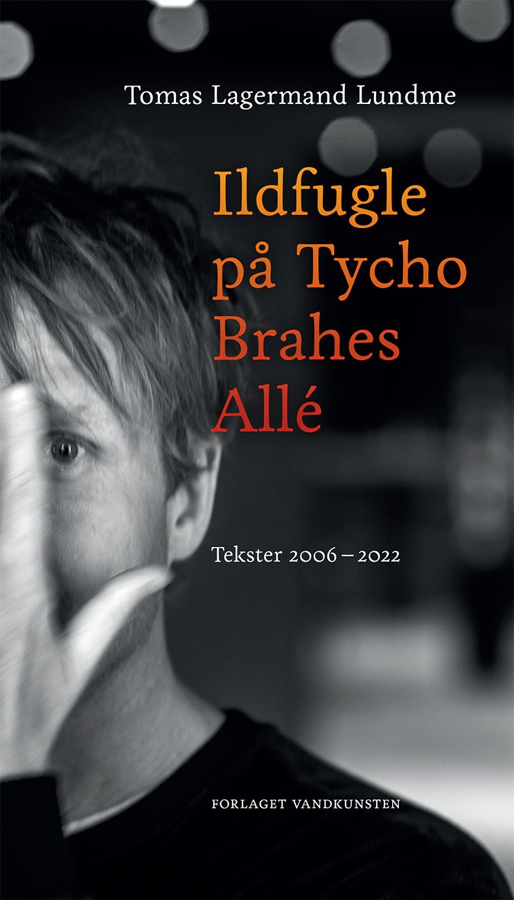 Ildfugle på Tycho Brahes Allé