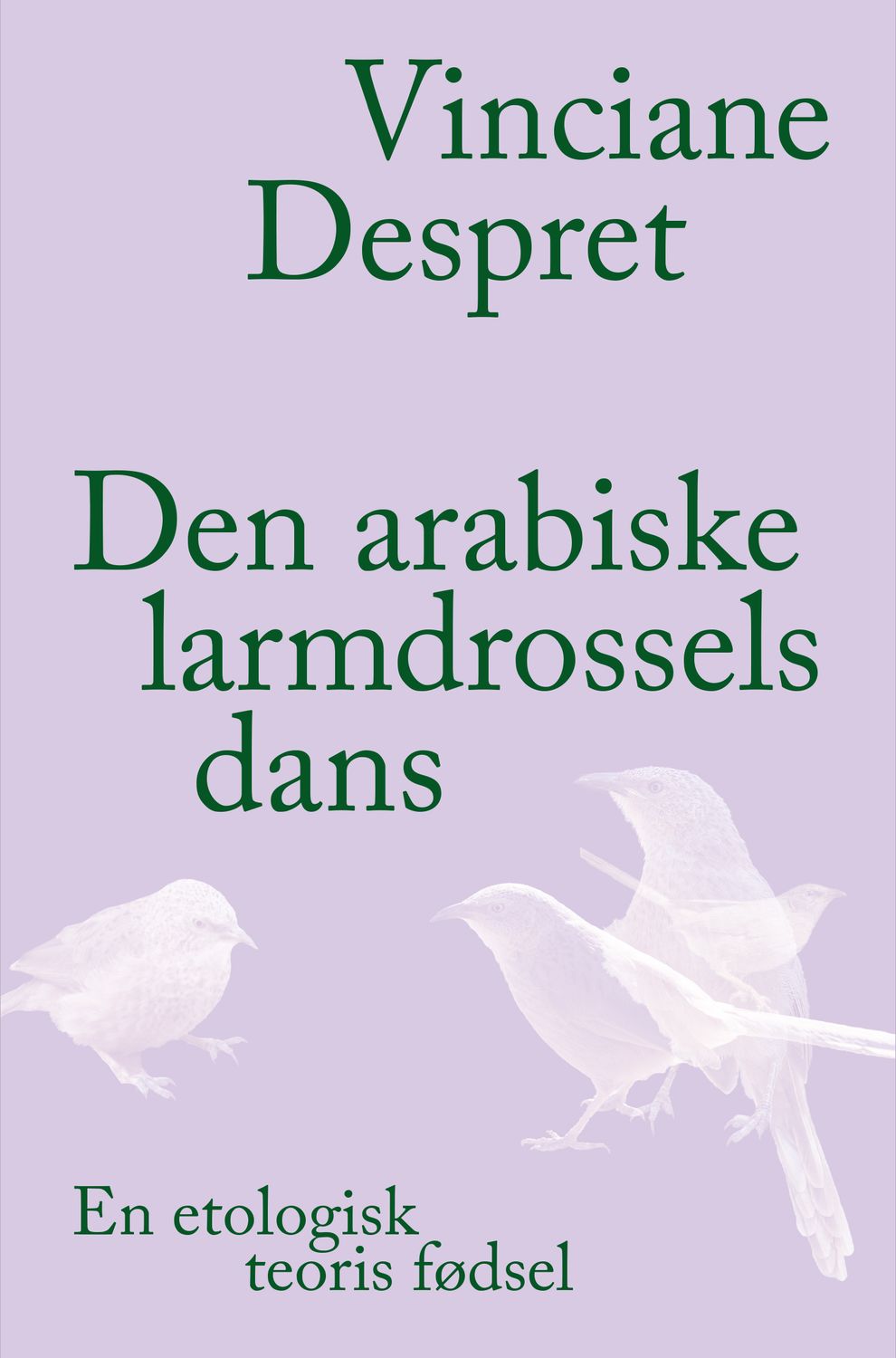 Den arabiske larmdrossels dans