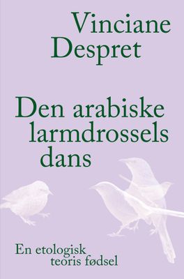 Den arabiske larmdrossels dans