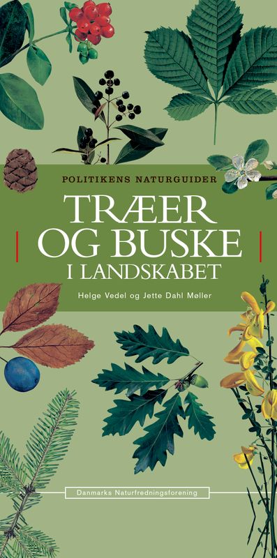 Buske Log Træer og buske i landskabet