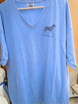 Adult Comfort Colors V-Neck T-Shirt - Printed Logo Front/Back
