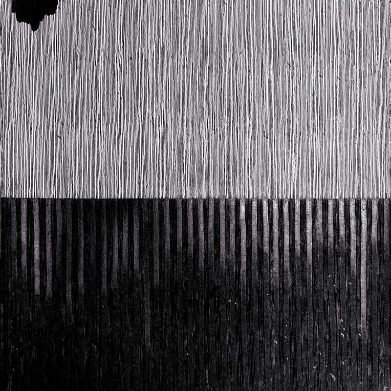 ​Landscapes 01 - 2022