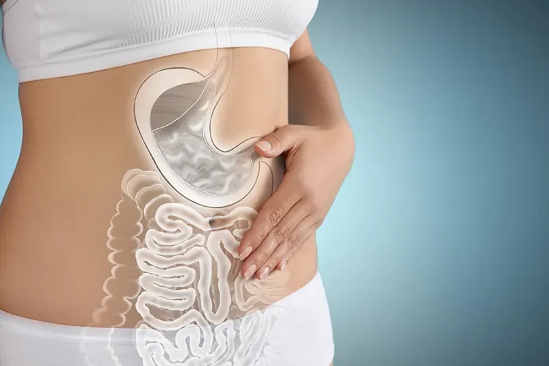 Best Probiotic Strains for Gut Health: What You Need to Know