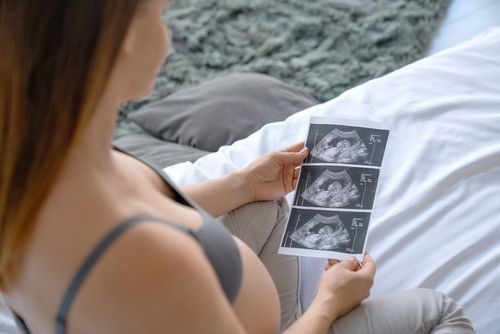 Programa de Nutrición Preconcepción - Pack 6 meses