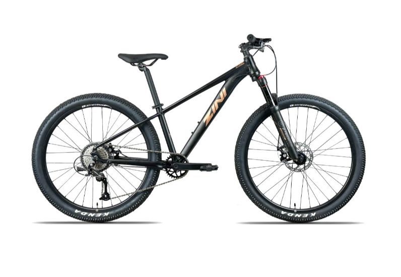 Zini Z26 Disc