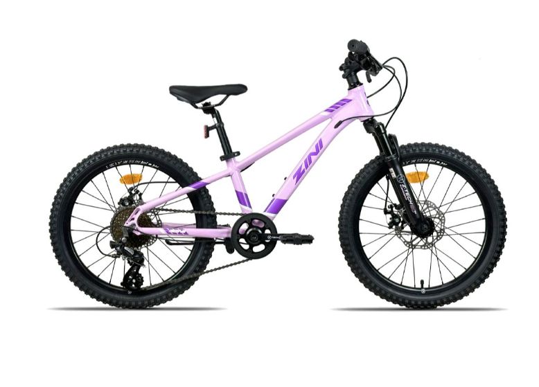 2024 ZINI Z20 DISC