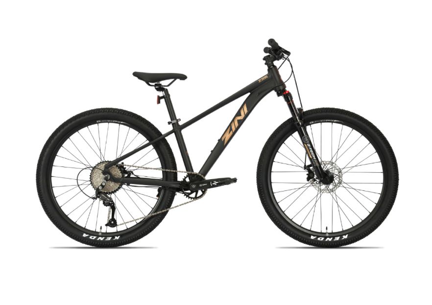 2025 Zini Z26 Disc, Colour: Steampunk Black, Size: 9SPD