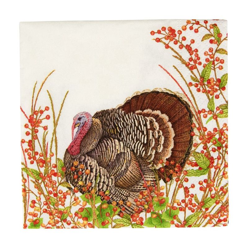 Caspari Turkey And Berries Cocktail Napkins - 20 Per Package