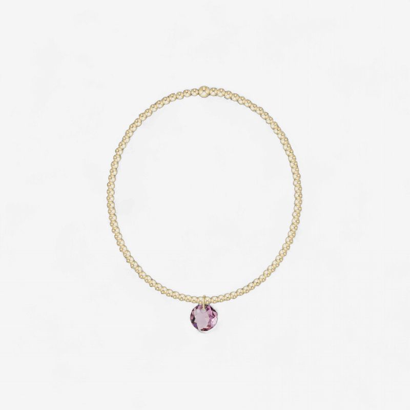 enewton Classic Gold 2mm Bracelet - Reflection Small Charm - 02