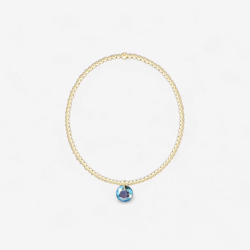 enewton Classic Gold 2mm Bracelet - Reflection Small Charm - 03