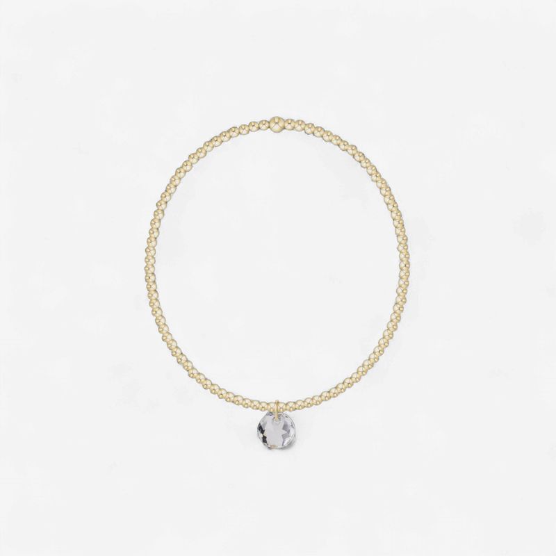 enewton Classic Gold 2mm Bracelet - Reflection Small Charm - 04
