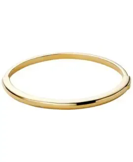 Ana Luisa Gold Bangle Bracelet Brynley M/L