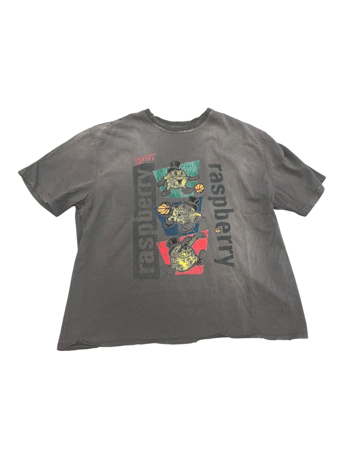 The GVGallery Raspberry Hills Basketball T-Shirt 2.0 Grey