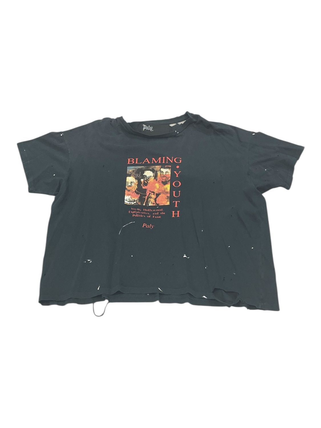 Paly Hollywood Blaming Youth T-Shirt Blue