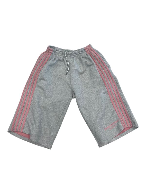 The GVGallery Raspberry Hills Aunt Kathy V2 Baggy Shorts