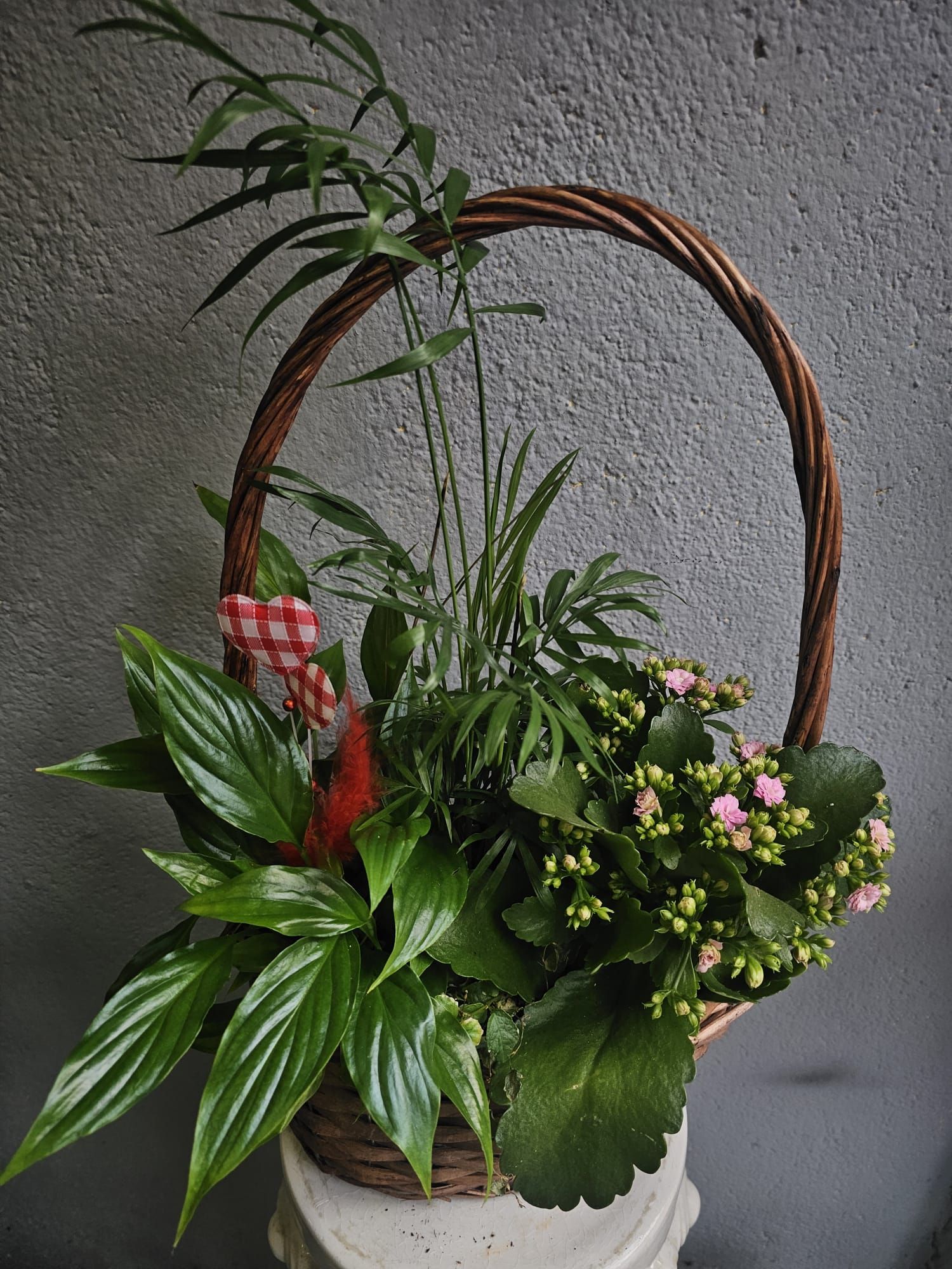 ​Cestas de Plantas