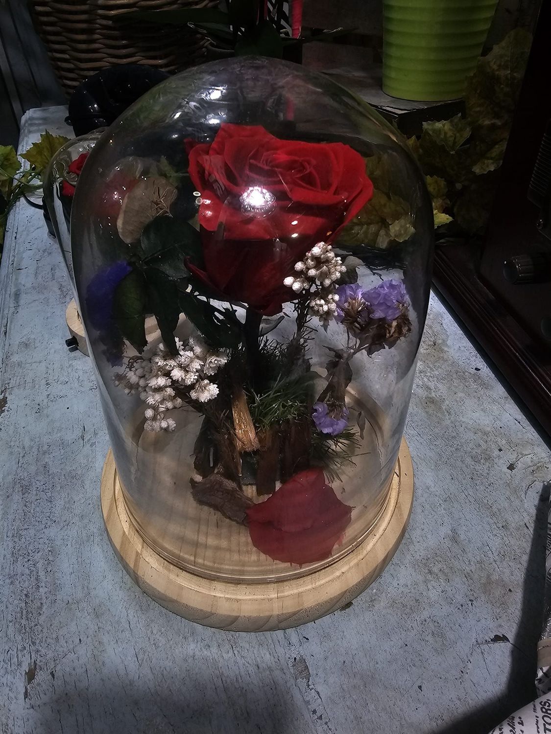 Cúpulas de rosas preservadas