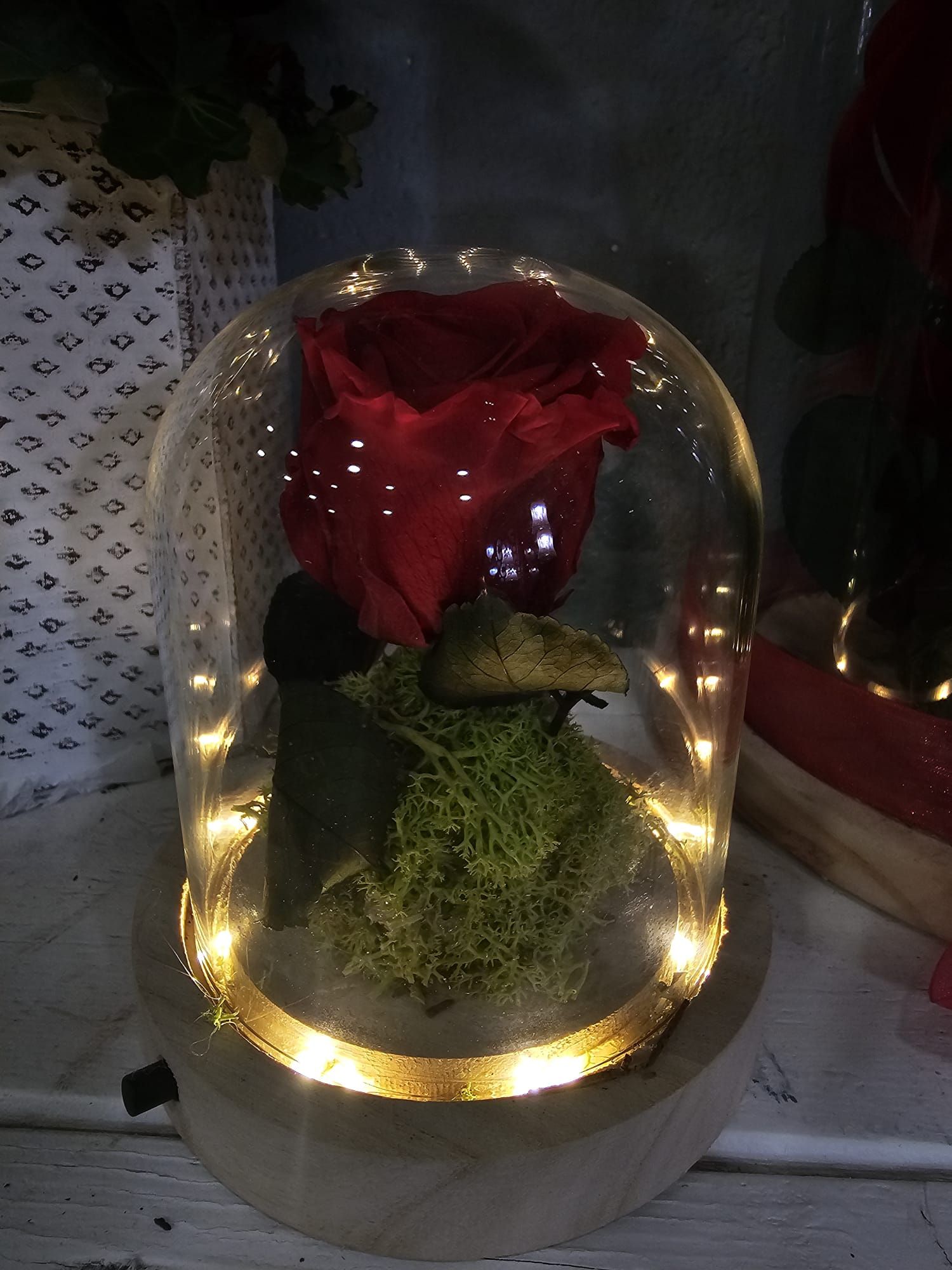 Cúpulas de rosas preservadas