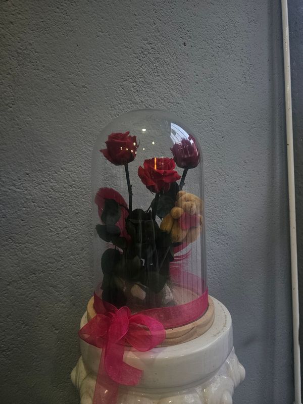 Cúpula 3 rosas preservadas
