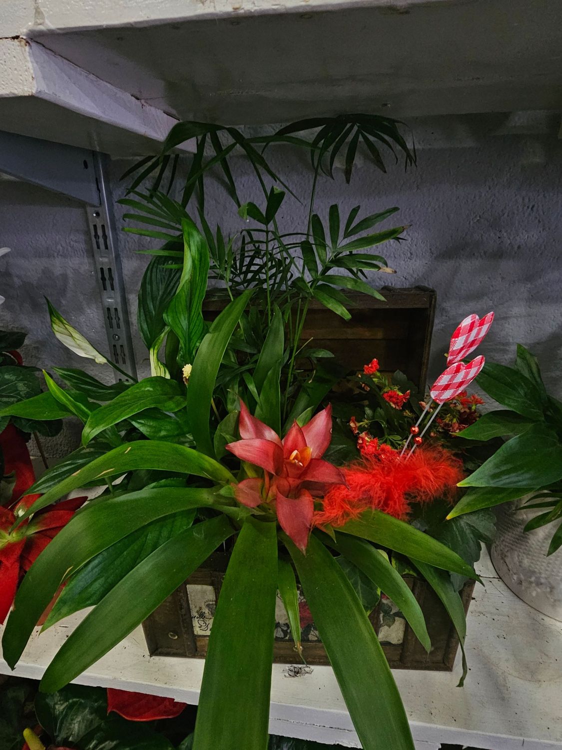 Baúl Con Plantas