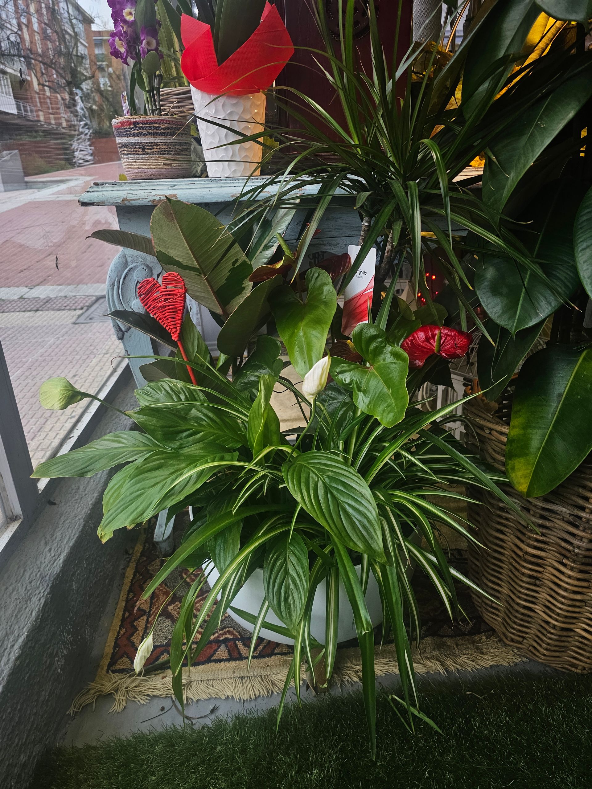Cesta XL