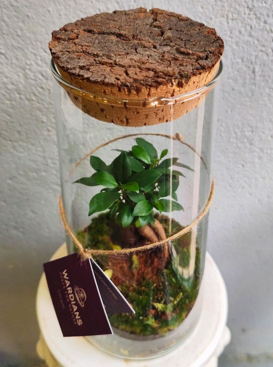 Terrario Vertical