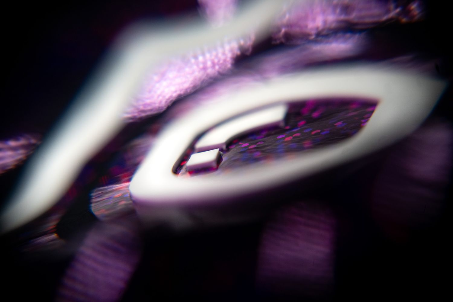 Space Traveler Octopus BLUZA