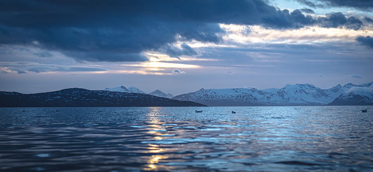 Space Traveler Octopus BLUZA