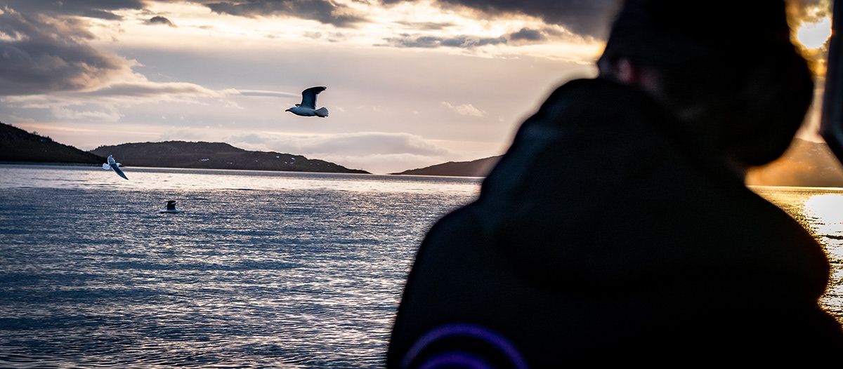 Space Traveler Octopus BLUZA