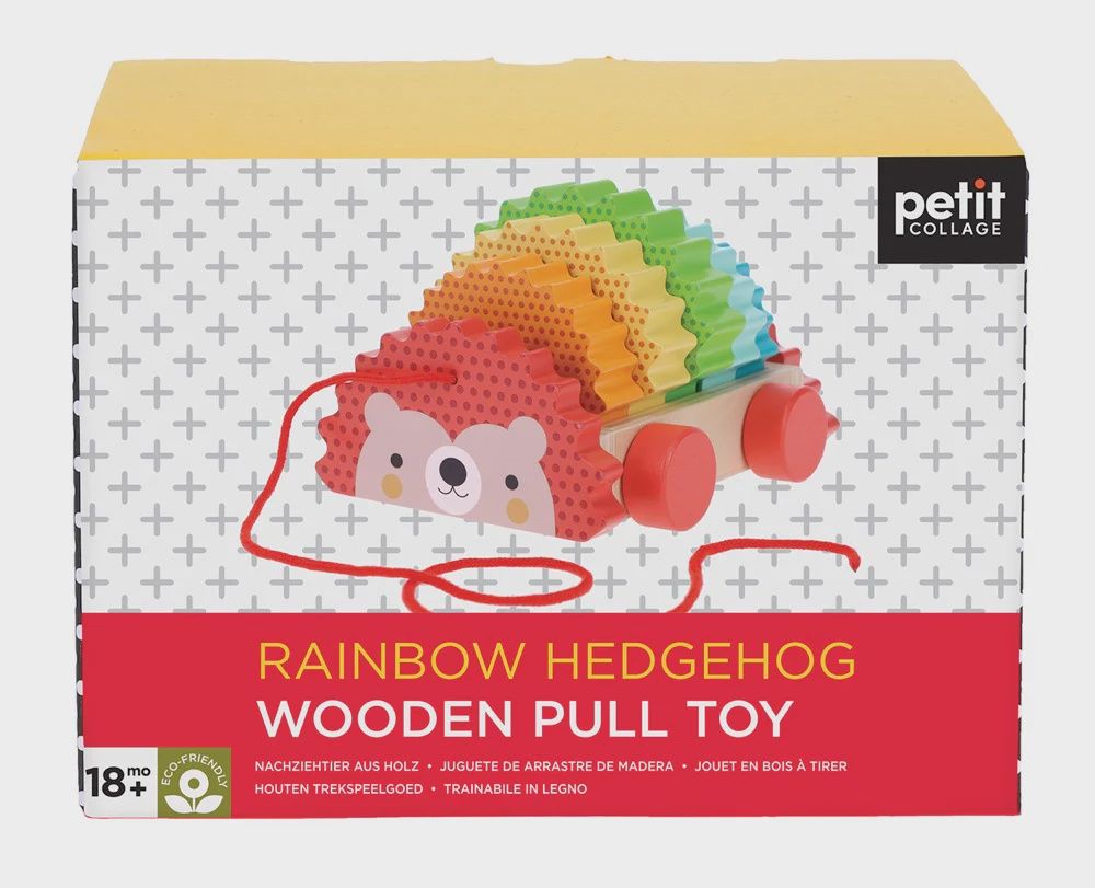 Rainbow Hedgehog Wooden Pull Toy