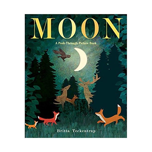Moon: A Peek-Through Picture Book