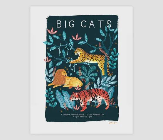 Papio Press - Natural History Big Cats 11"x14"