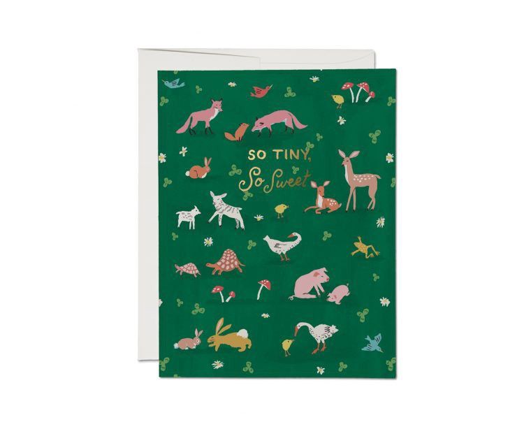 So Tiny Animals