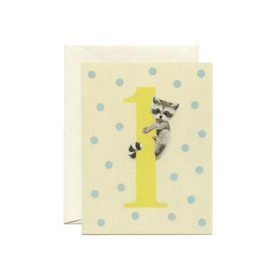 Raccoon 1st Birthday