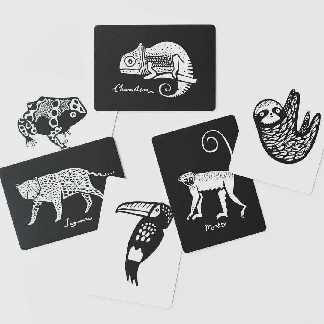 Art Cards for Baby - Rainforest