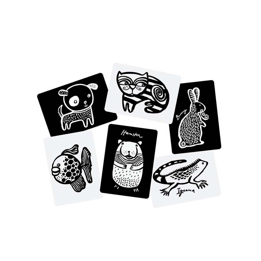 Art Cards for Baby - Pets