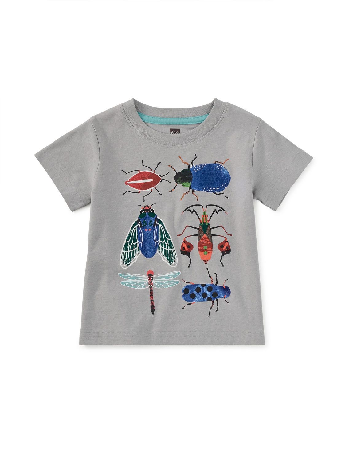 Insect Assortment Graphic Tee - Sidewalk