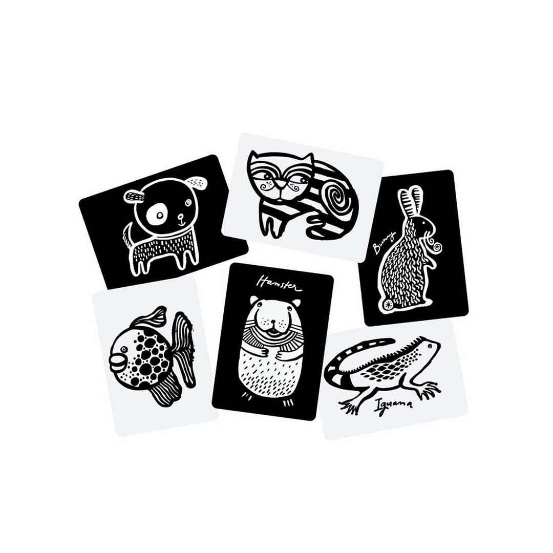 Art Cards for Baby - Pets
