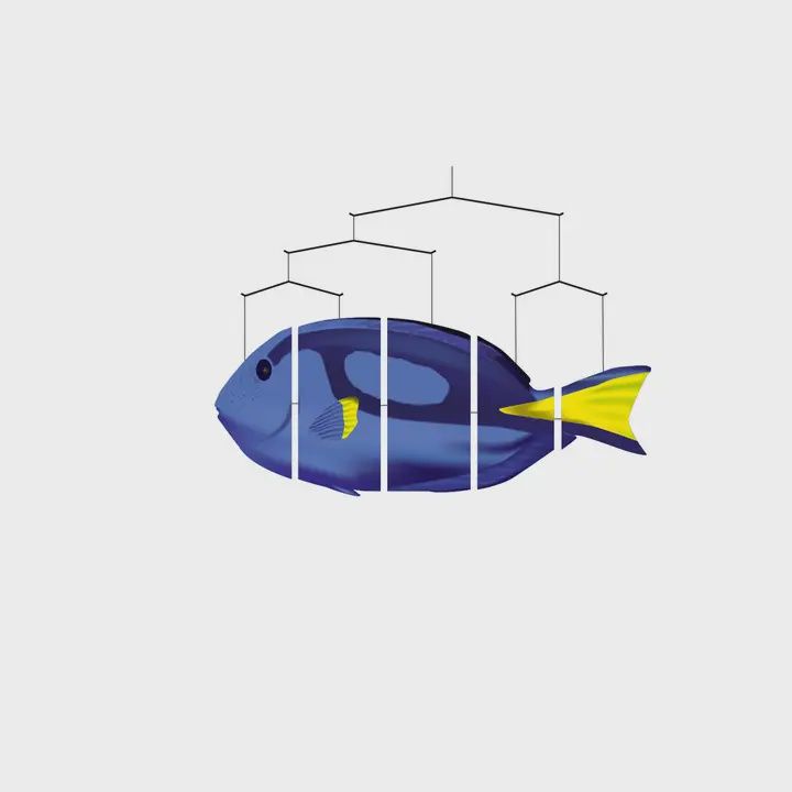 Ocean Mobile, Animal: fish