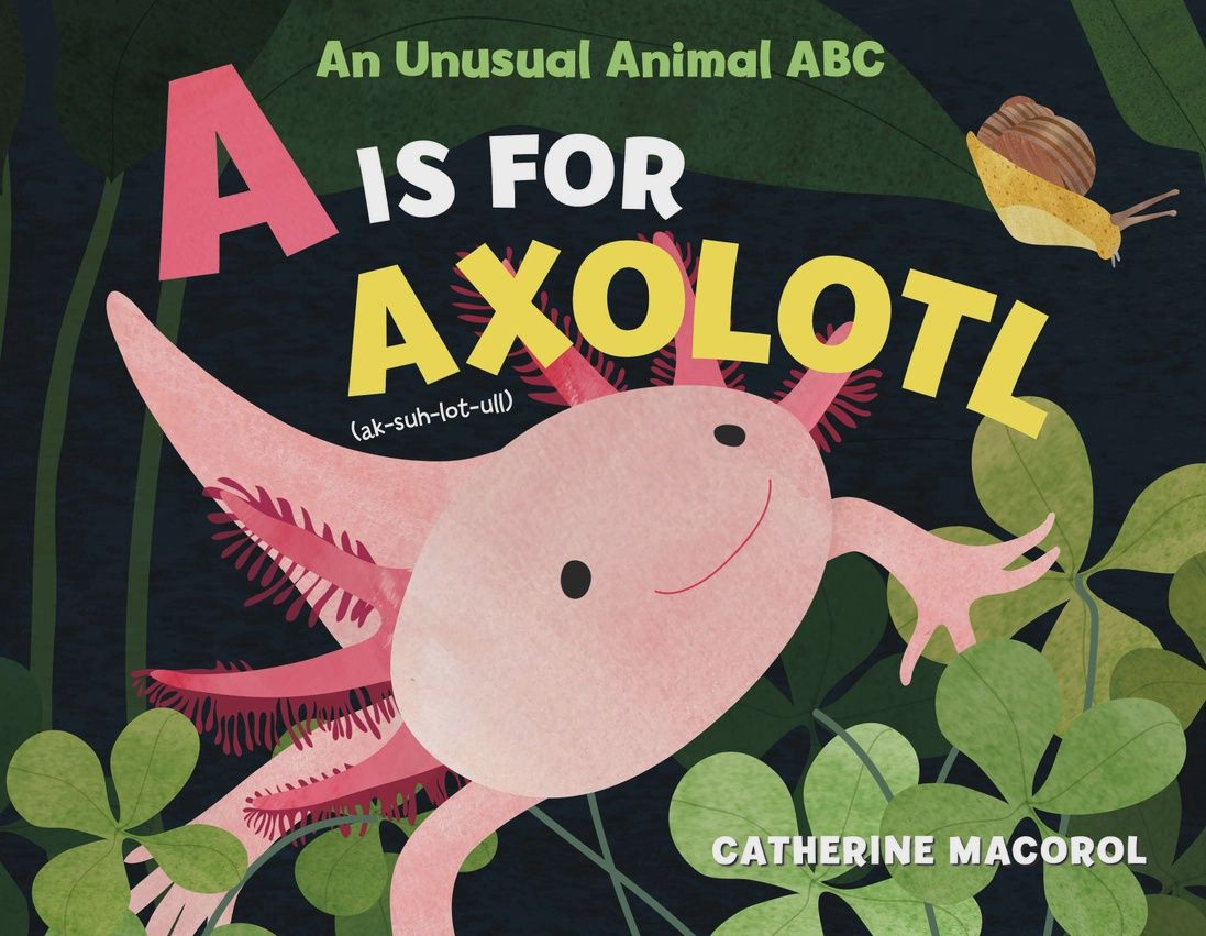 A is for Axolotl, an Unusual Animal ABC