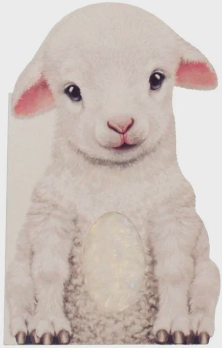Furry Lamb  A Mini Touch and Feel Book
