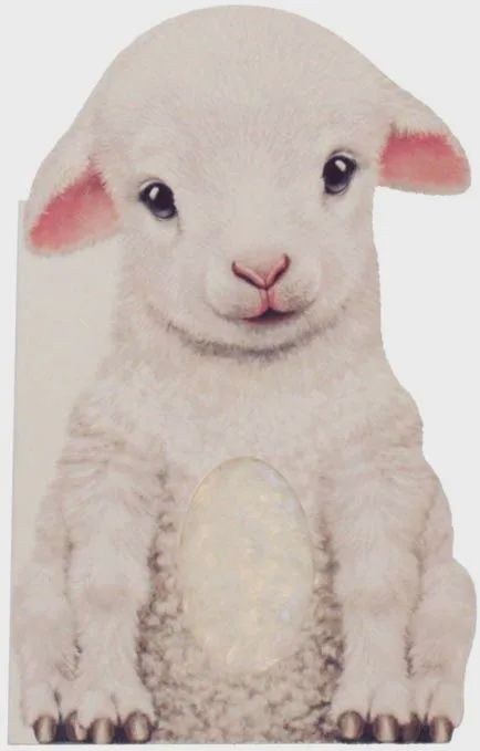 Furry Lamb  A Mini Touch and Feel Book