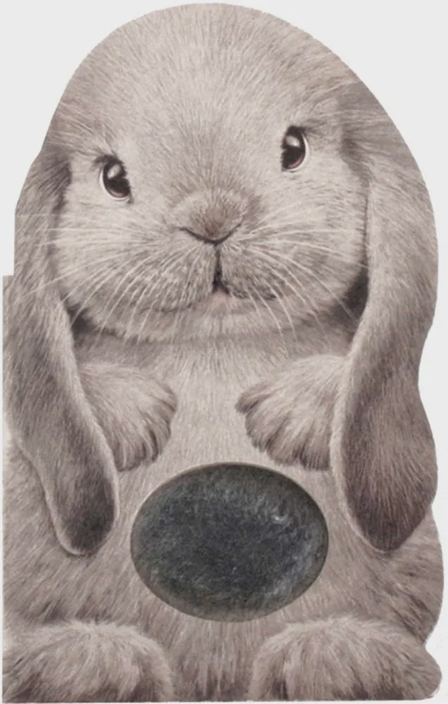 Furry Bunny A Mini Touch and Feel Book