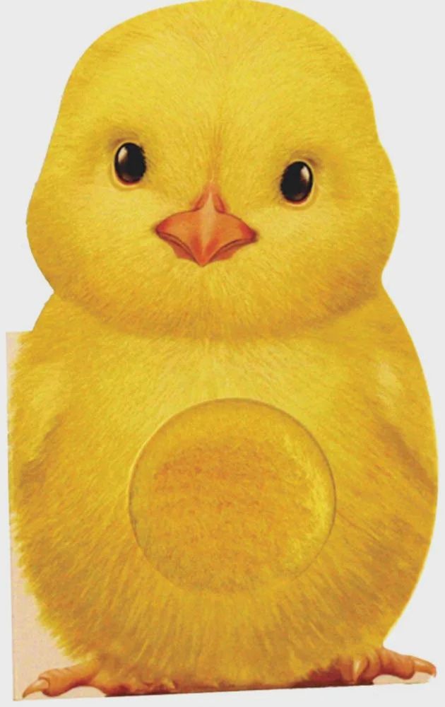 Furry Chick A Mini Touch and Feel Book
