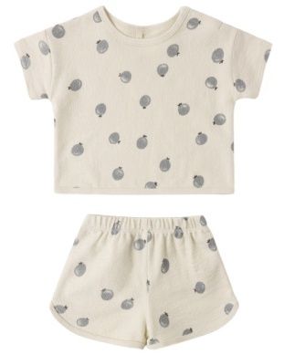 Spongy Play Set Blueberries