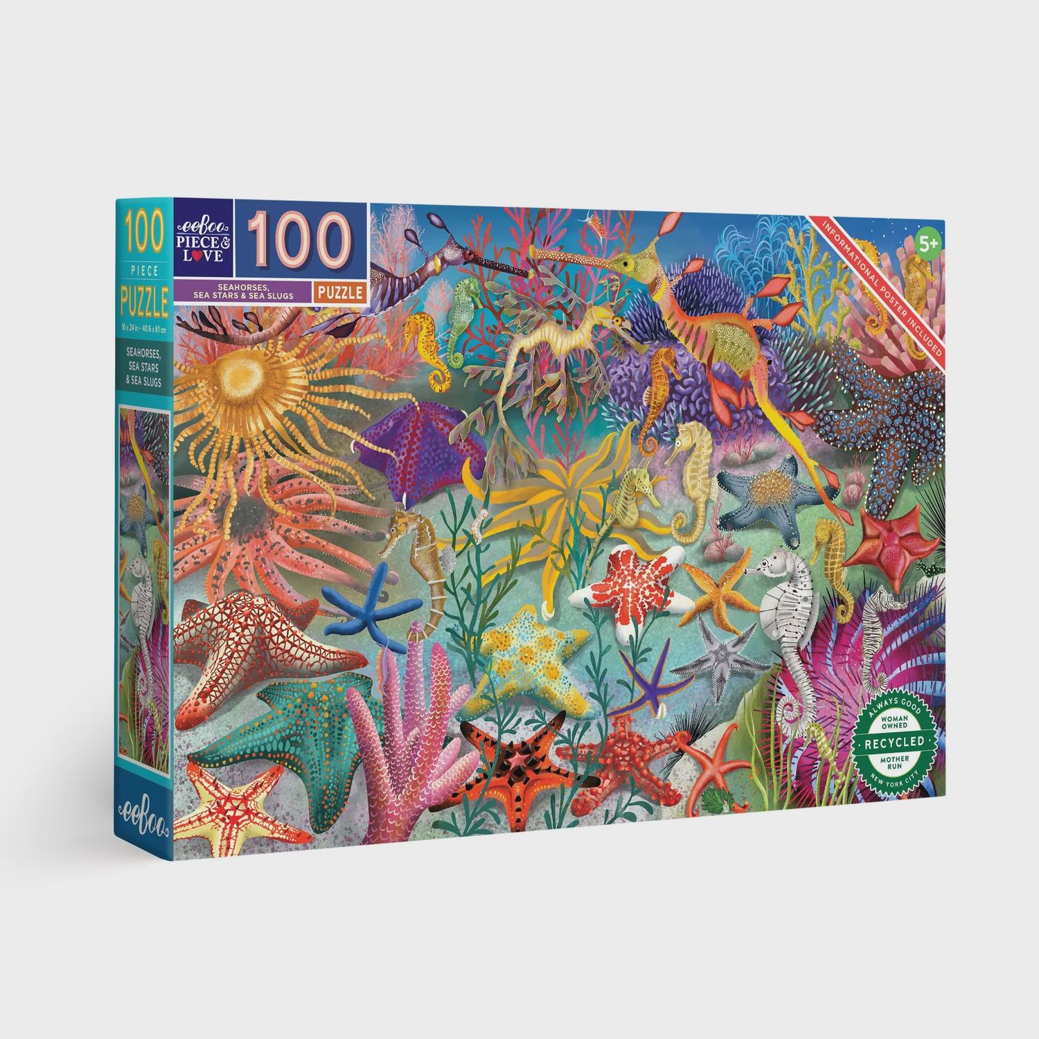 100 Piece Puzzle - Seahorses, Sea Stars &amp; Sea Slugs