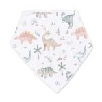 Bandana Bib - Sweet Baby Dinos