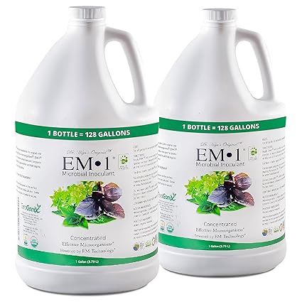 EM-1